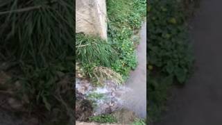 VID 20170213 WA0004