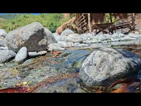RELAXING WATER SOUNDS #relaxing #relaxingwatersounds #naturesounds