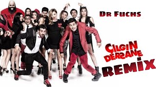 Çılgın Dersane Remix - Dr Fuchs Resimi