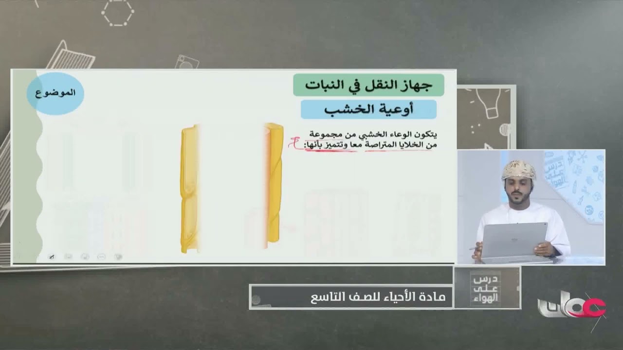 شرح جهاز النقل في النبات - أحياء للصف التاسع الفصل الثاني