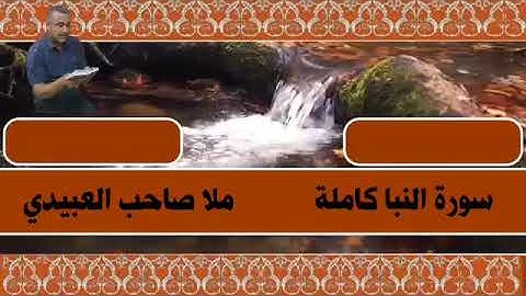 سورة النبا كاملة٠هديتى الى ارواح امواتكم اخوانى واخواتى الاطهار٠ملا صاحب العبيدى