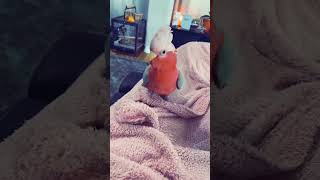 Must Check Both Feet First