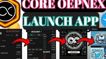 HOW TO CREATE/IMPORT OEX WALLET | Openex Wallet KYC Link Metamask Full Guide