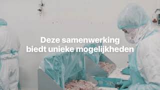 Versalert En Veldhovenkipproducten Slaan De Handen Ineen