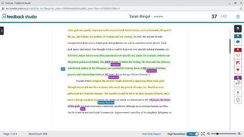 Viewing My Feedback on TurnItIn.com