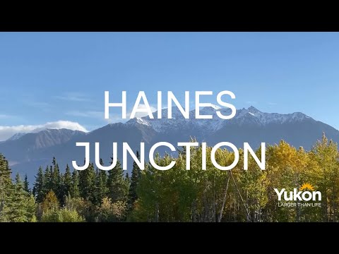 Haines Junction Yukon Where to stay see eat drink