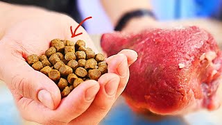 HOW TO PREPARE DRY FOOD?! Food for dogs and cats