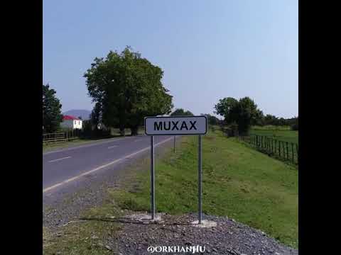 Zaqatala Muxax