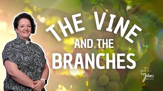 The Vine and the Branches | Archdeacon Claire Phelps | 28 April 2024