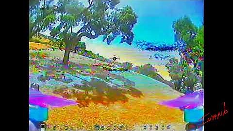 Volando Wizard TS215 en dehesa.