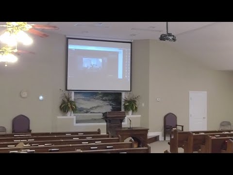 Video preview