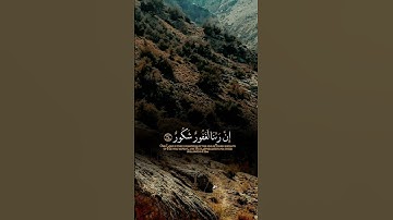 القرآن الكريم القارئ الشيخ ماهر المعيقلي #qoran #اكسبلور #القرآن_الكريم #ماهر_المعيقلي