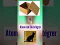 le chat (🐈) de schrödinger : Mécanique Quantique