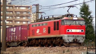 レッドサンダーEF510-13牽引高速貨物3098レ 札幌→東青森→吹田→福岡