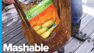 Your Biodegradable Bag Might Not Degrade As Fast As You’d Think, Research Shows