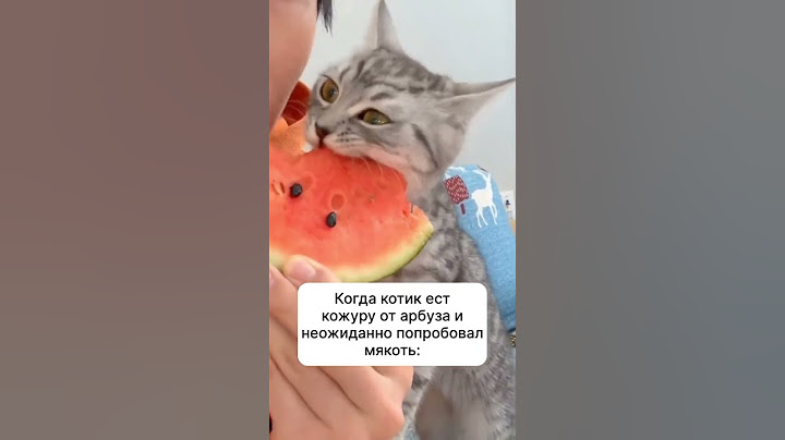 КОТ ЕСТ АРБУЗ/CAT EATING WATERMELON🍉🍉🍉🍉🍉🍉