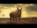野生生物犯罪に取り組む：3月3日は「世界野生生物の日」