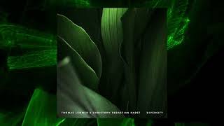 Thomas Lemmer & Christoph Sebastian Pabst - Diversity (Trailer)