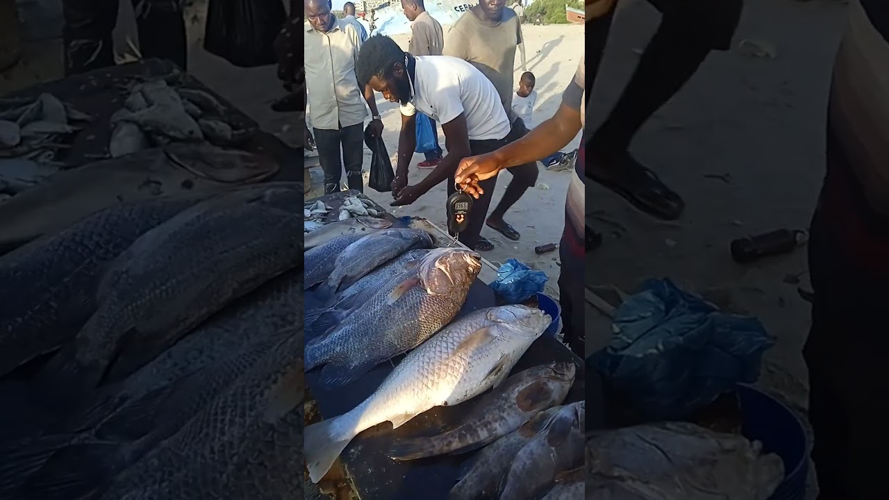 Feira de Peixes em Moçambique ( Sofala)