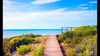 Portogallo #Algarve Costa Vicentina - Video #Portugal