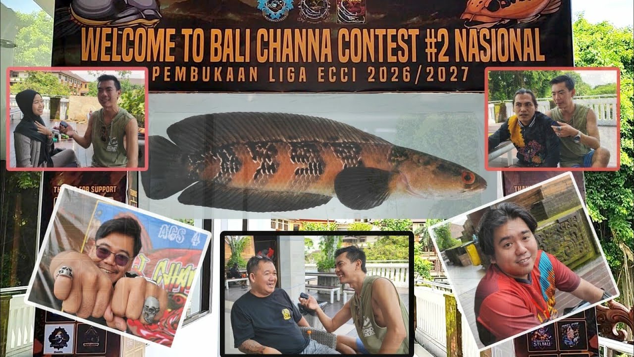 ADA APA Di BALI Channa Contest❓❓❓