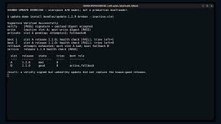 Signed Updates and Rollback: The Failure Test | CRA 08