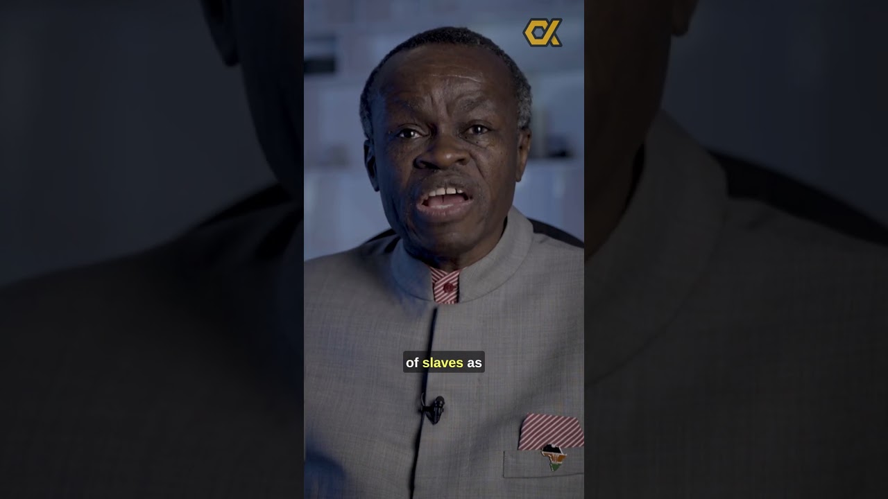 PLO LUMUMBA about the Dark Side of Western Institutions' Ties to Slavery