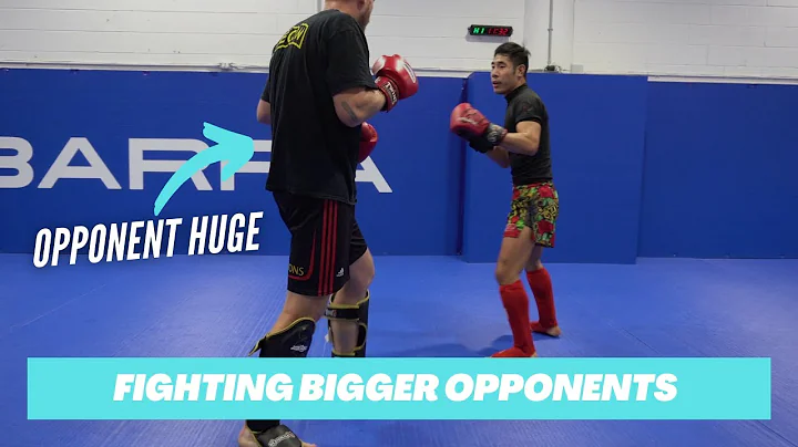 What martial art is best for fighting bigger opponents? (2023)
