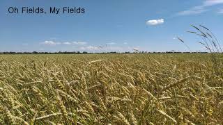 Oh Fields, My Fields (instrumental version 3)