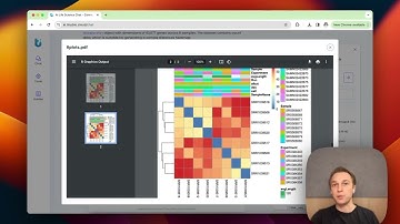 Generate Bulk RNA Seq Sample Distances Heatmaps Through tiny intern