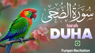 Surah Duha|Surah Wazuha By Muhammad Anas Soothing Tilawat|Heart Touching Recitation|Beautiful Voice