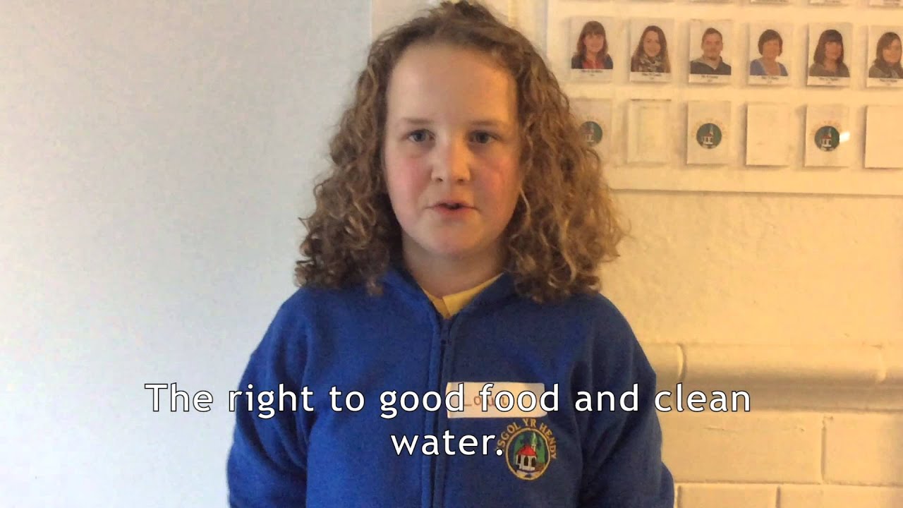 Ysgol Yr Hendy Ysgol Delfrydol/Dream School YouTube