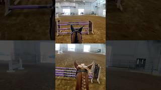 Ride the same course at .75m with Valou & 1.15m with noodle! 😝 #pov