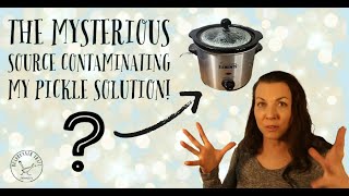 The Mysterious Source Contaminating my Pickle Solution for Silver Jewelry making