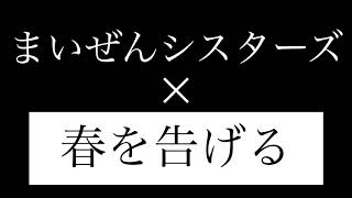 まいぜんシスターズ×春を告げる