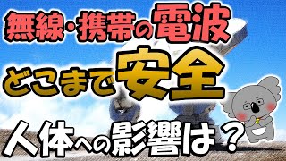 無線＆携帯電話の電波、人体に影響あるため、色々な規制あり。現状の規制について、色々と調査。アマチュア無線家　安全対策　知識が必要です