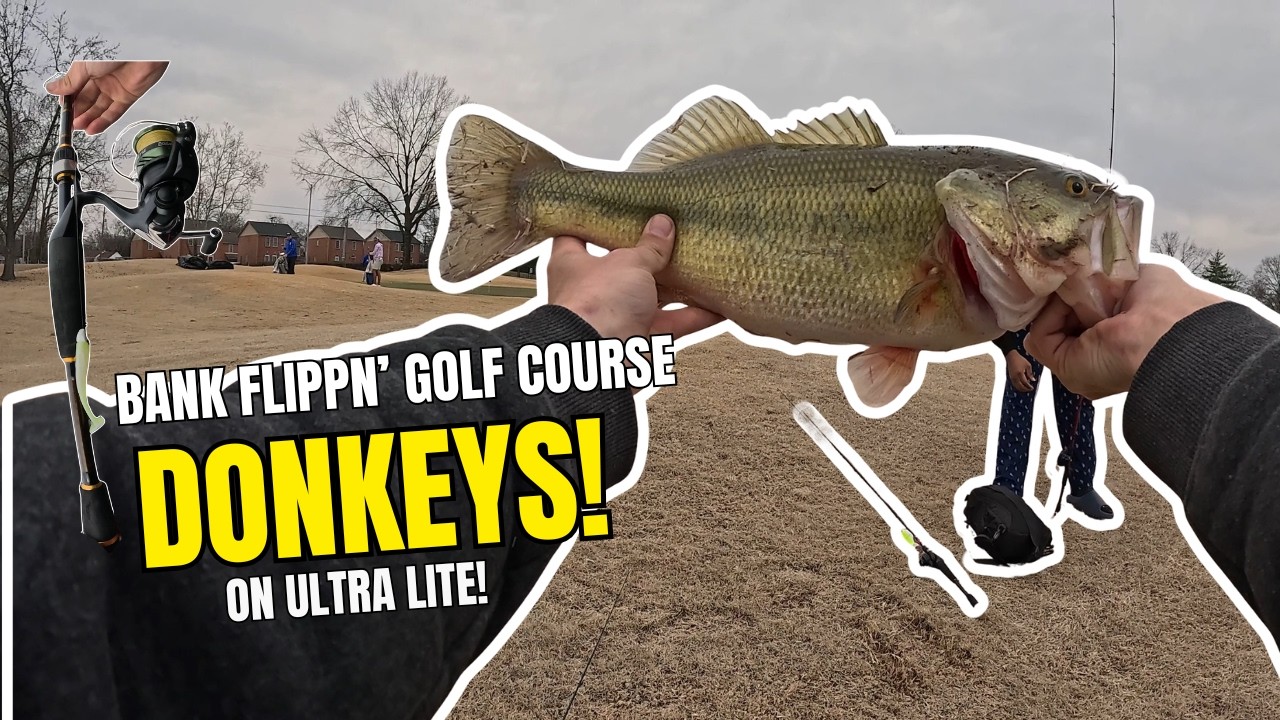BANK FLIPPIN' GOLF COURSE DONKEYS ON ULTRA LITE!! #tennessee #fishing #bassfishing #fishing