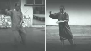 Huang Sheng-Shyan and Cheng Man-Ching 37 Step Tai Chi Form Side By Side Section 1