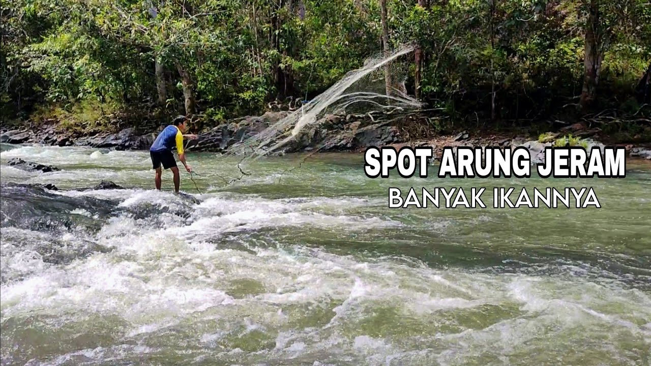 GAK ADA TAKUTNYA‼️JALA IKAN SULTAN DI TENGAH SUNGAI ARUS DERAS 😱