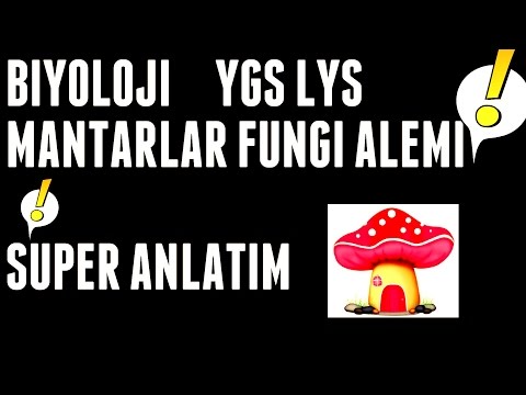 BİYOLOJİ MANTARLAR KONUSU HARİKA ANLATIM FUNGİ ALEMİ YGS-LYS-KPSS