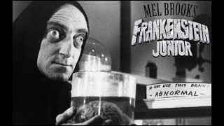 Igor, Di Chi Era Il Cervello Che Mi Hai Portato? Frankenstein Junior Hd