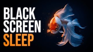 BETTA FISH AQUARIUM THERAPY 4K | CALM AMBIENT MUSIC FOR STRESS RELIEF & SLEEP screenshot 4