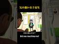 【まさかの展開!?】気の強い女子高生 #vrchat #shorts #そばぷろっ