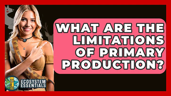 What Are The Limitations Of Primary Production? - Ecosystem Essentials