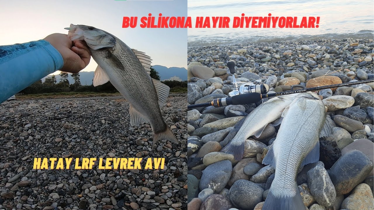 SİLİKON İLE HER ATIŞ LEVREK! Yağmur Sonrası Levrek Avı | HATAY