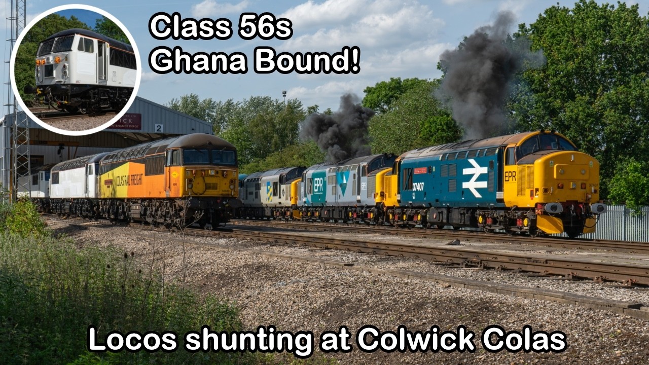 Colas Class 56s Ghana Bound! - Shunting at Colwick Colas - 56094 ...