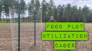 Food Plot Utilization Cages at Hollis Farms