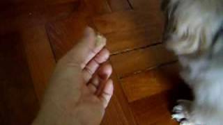 CIMG1484.AVI