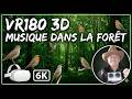 VR180 3D - 6K - LA FORÊT et sa musique - 15 mai 2026