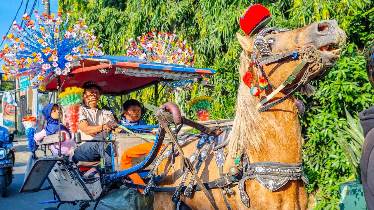 KUDA | KUDA DELMAN - NAIK KUDA | LAGU NAIK DELMAN, WHEELS ON THE BUS, BALONKU, ABC SONG